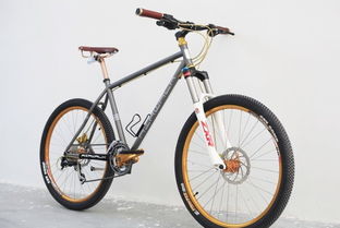 復(fù)古自行車