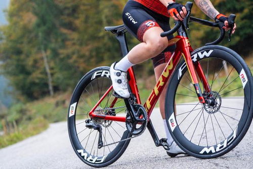 世界名牌自行車前十名福倫王土撥鼠進(jìn)口中國(guó)自行車最好的三個(gè)品牌